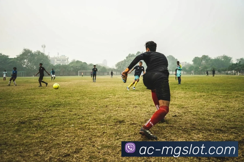 MG电子游戏官网APP 封面图